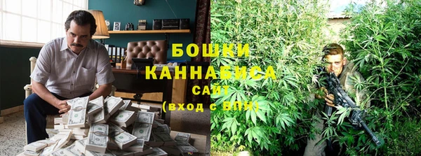 молекула духа Алексеевка